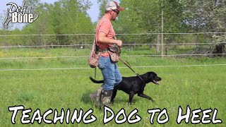 How to use a Dog Bite Training Trainer for Working Dogs
