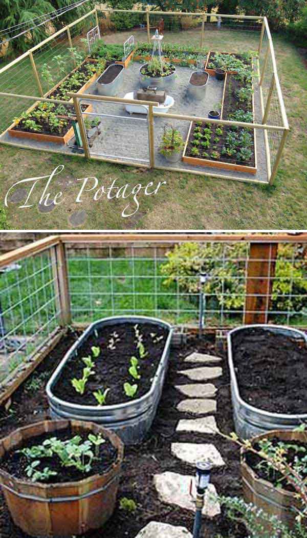 vegetable gardening ideas