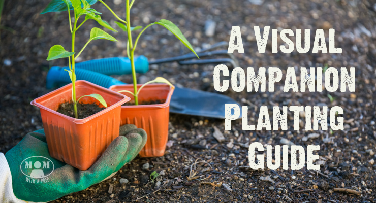 tips for planting garden