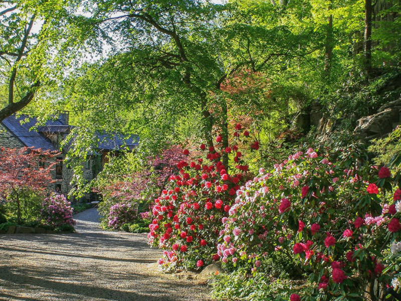 Mental Health Gardening - How to Take a Mental Health Day at Work
