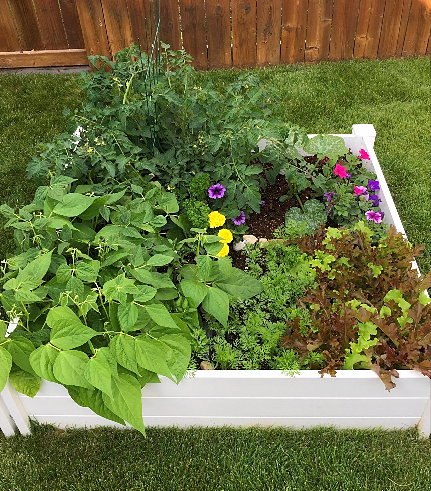 gardening ideas for backyard