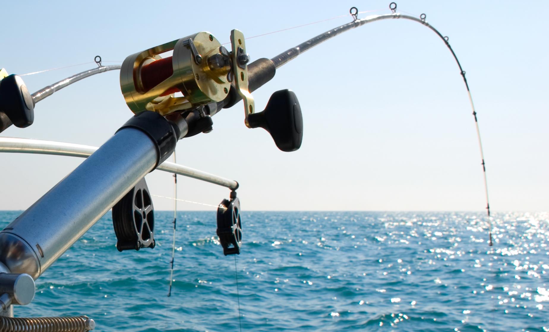 Spanish Mackerel Fishing Rigis
