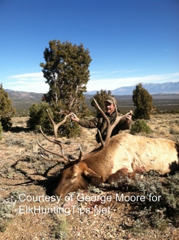 cottontail rabbit season