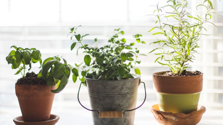 How far apart is it possible to plant vegetables in a raised garden?
