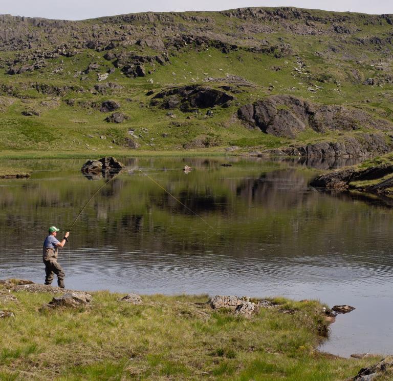 Artificial Lures For Trout
