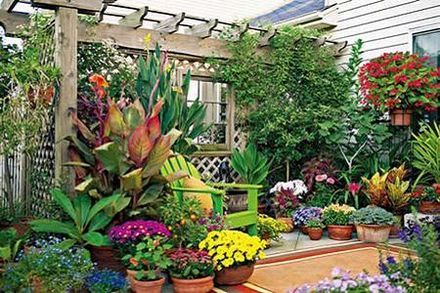 gardening tips for beginners uk