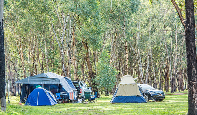Campgrounds Near Lake James NC
