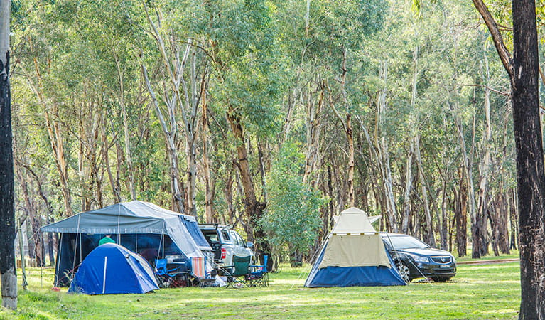 Colorado Bend State Park Campgrounds Offer Great Camping Experiences
