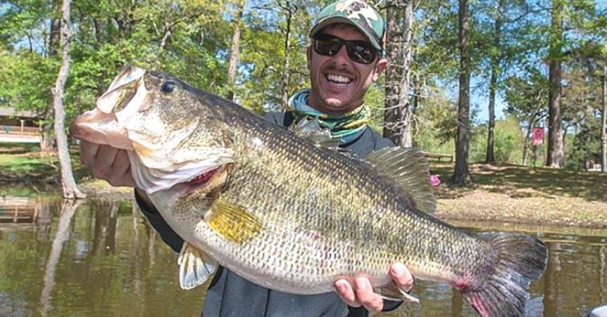 Artificial Lures For Bass
