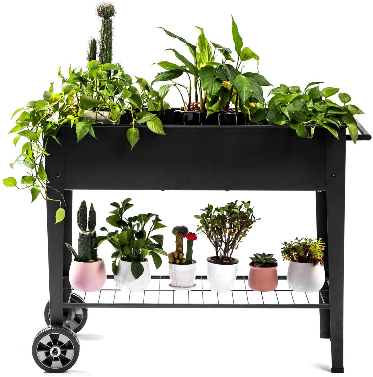 hydroponic herb gardening kits