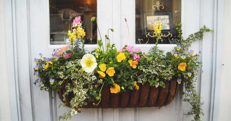 herb gardening in containers