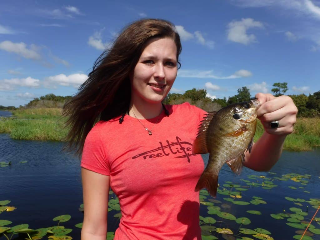 Sarasota Bay Fisheries
