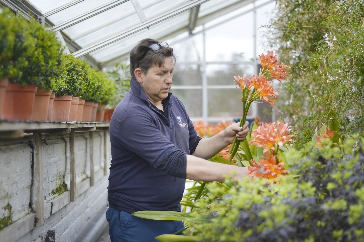 How does Hydroponic Gardening work?
