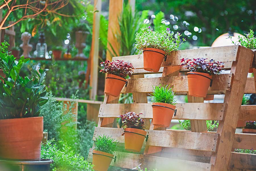 Planting Flowers in a Bird Bath Planter Idea
