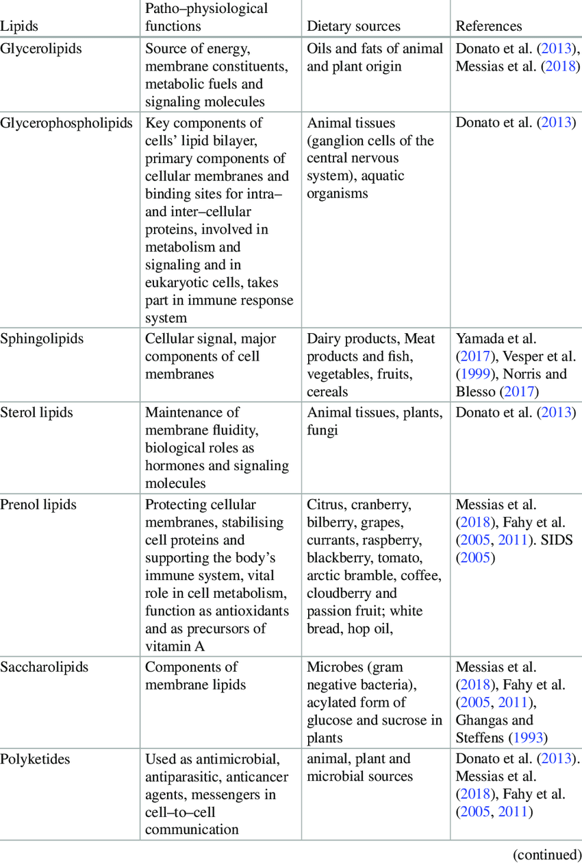 health and fitness programme examples