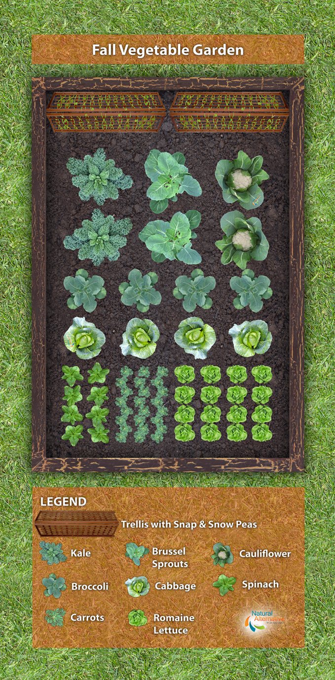 how to have the best garden