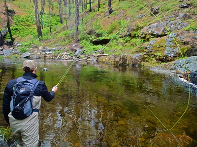 How to make bamboo fly rods
