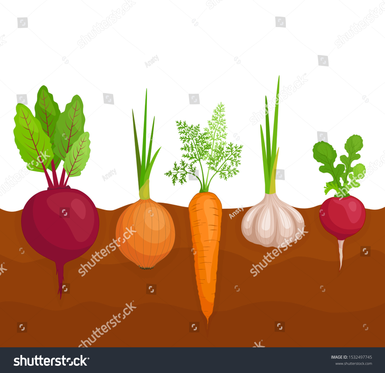 Small Indoor Vegetable Gardening Ideas
