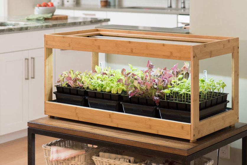 containers for herb gardening