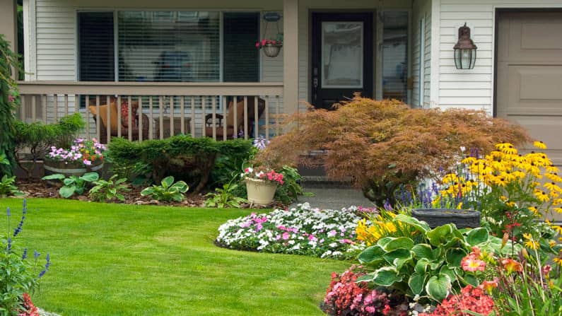 What is indoor gardening?
