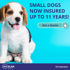 aspca pet insurance app