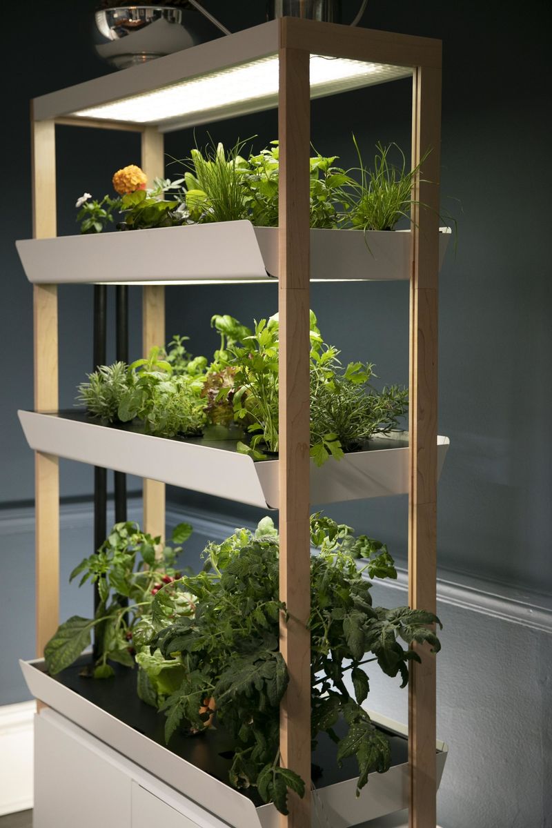 Herb Drying Pans and Herb Drying Racks
