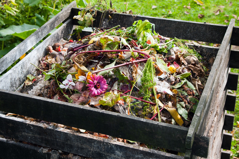 How to plant flowers inside a window box
