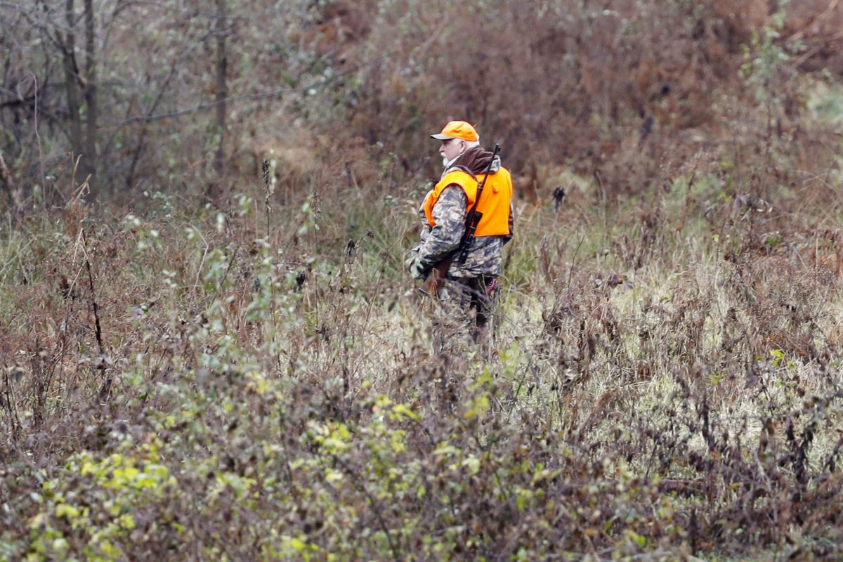 can you hunt in a state park