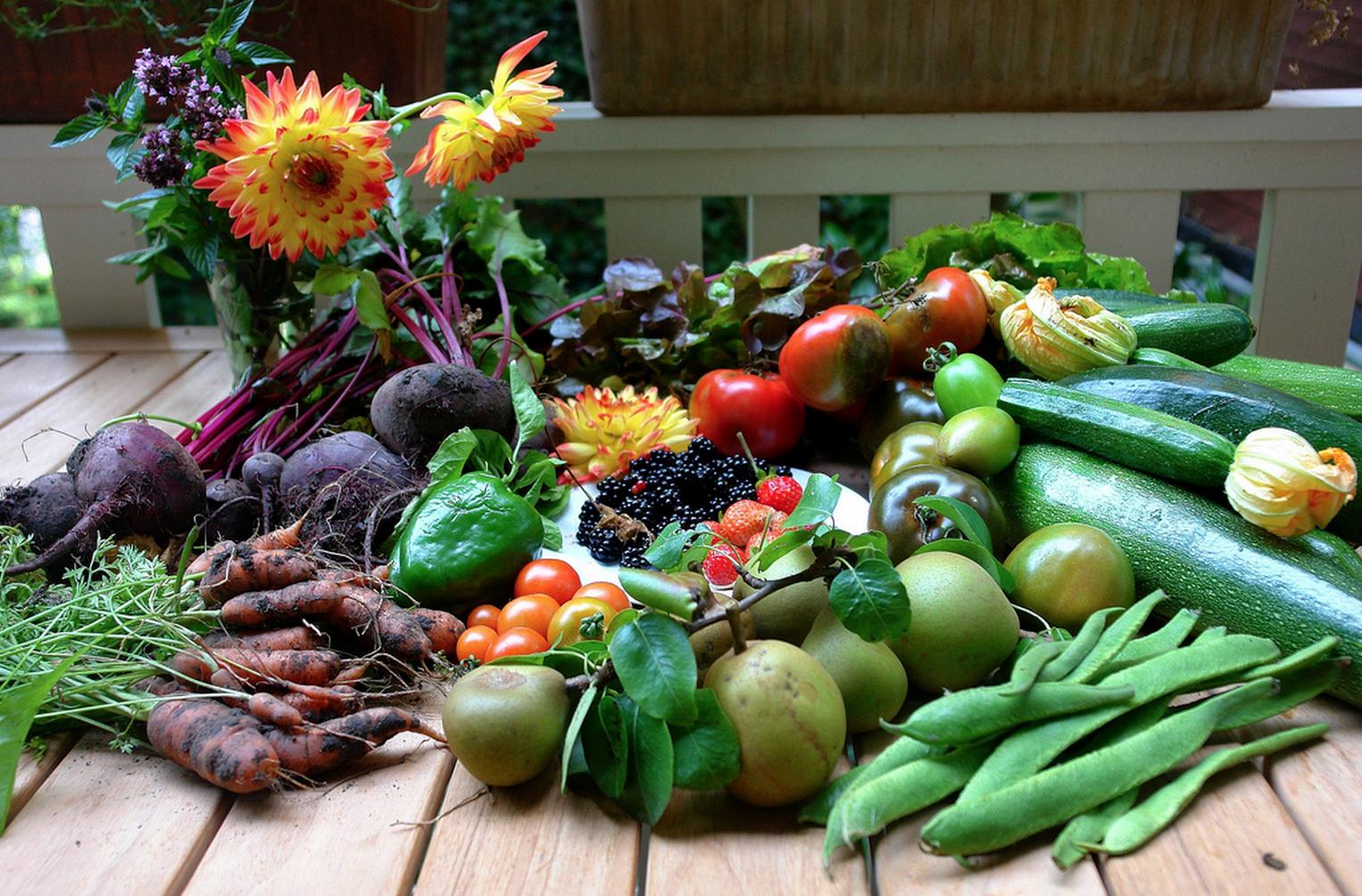 How to Grow a Organic Garden at Your Home
