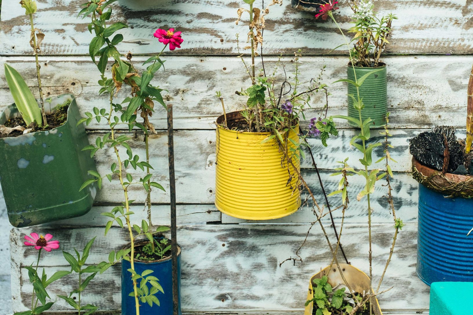 herb gardening containers