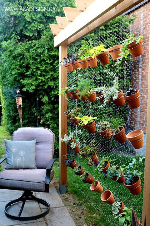 home vegetable gardening ideas