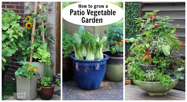 vegetable container gardening ideas