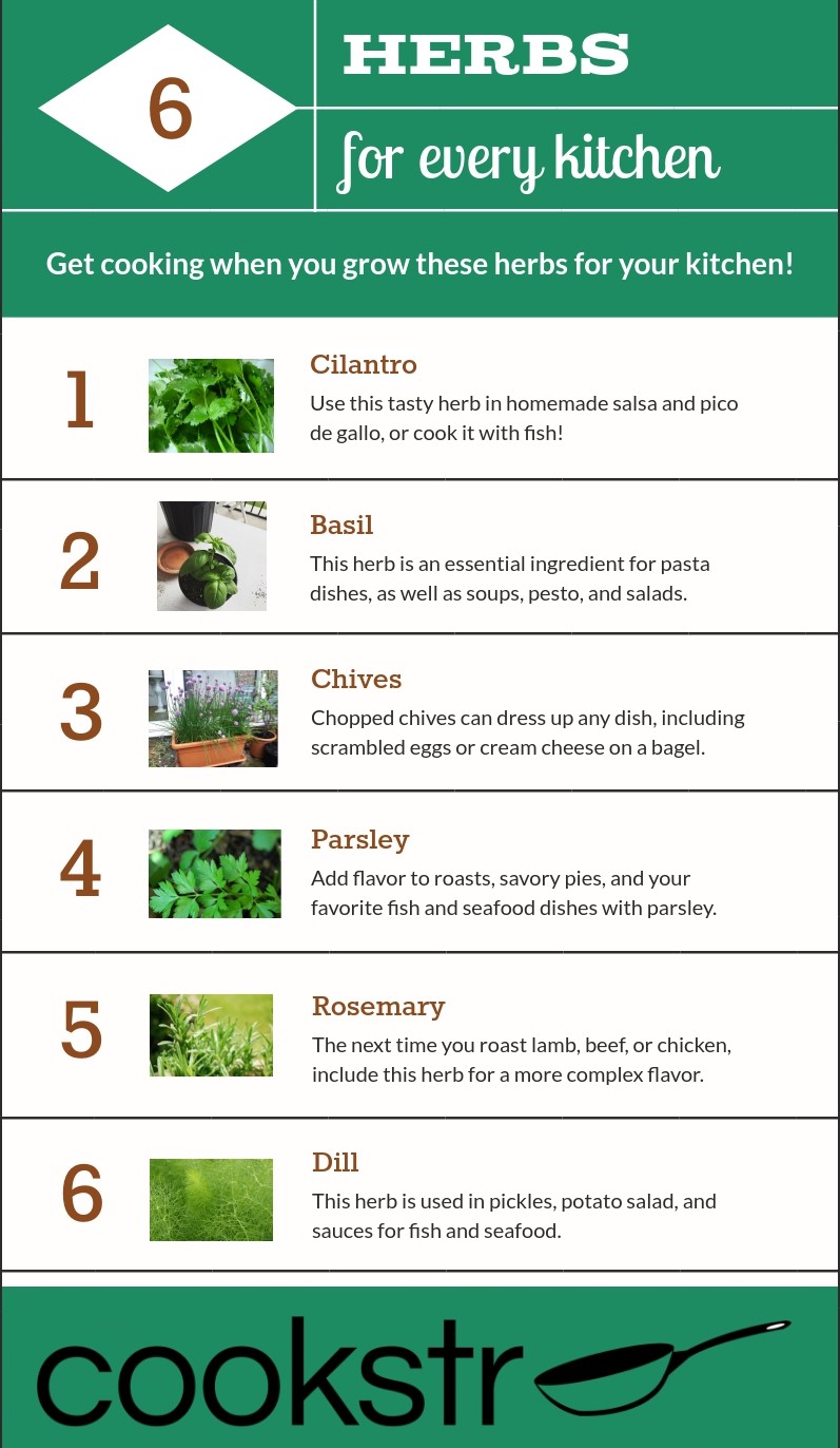 tips for planting a garden