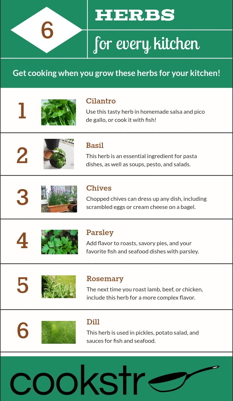 How to Grow Parsley & Other Herbs

