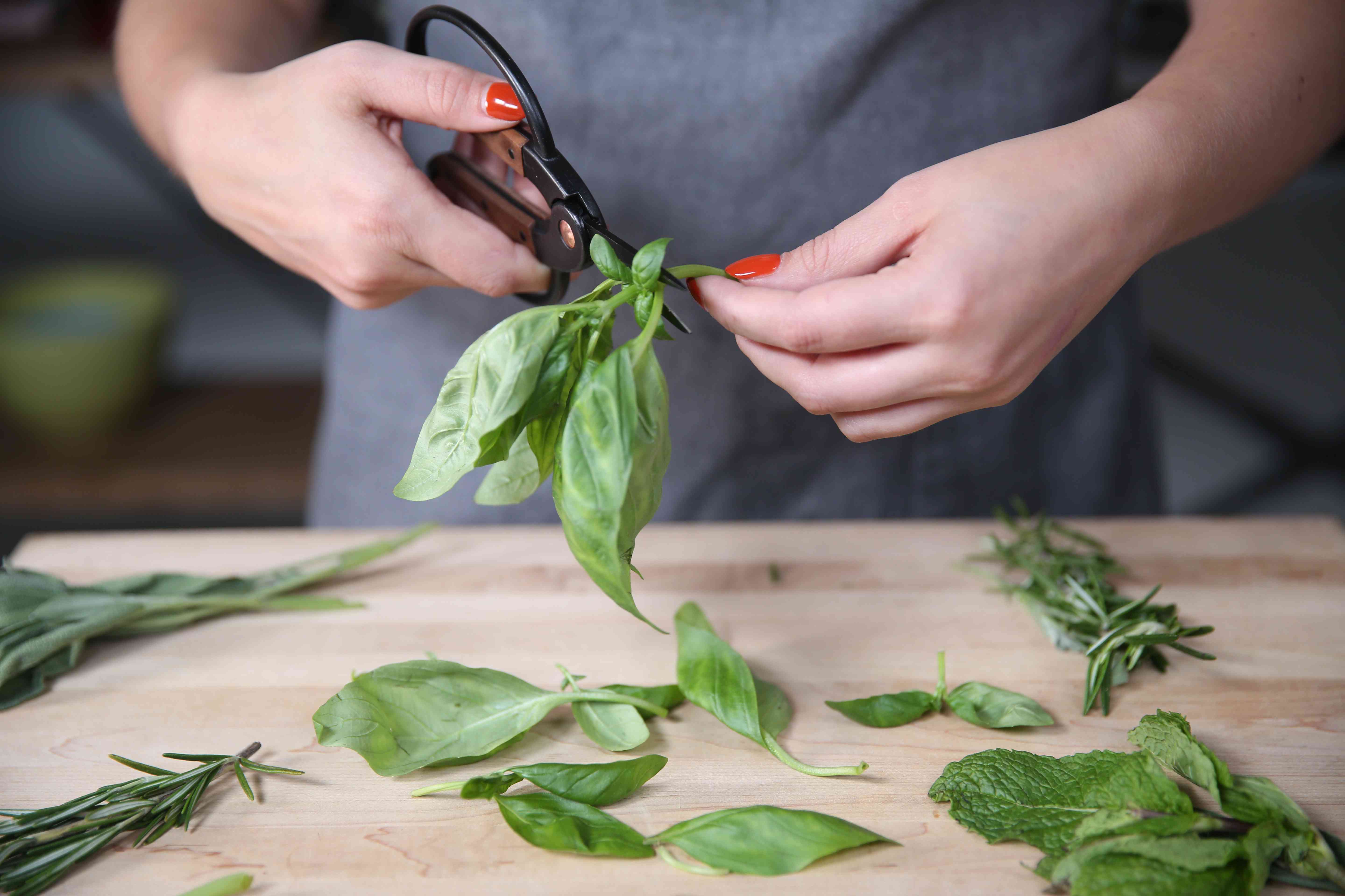 How to Grow Chervil
