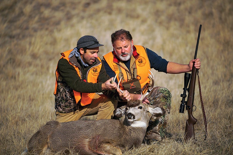 colorado hunting statistics