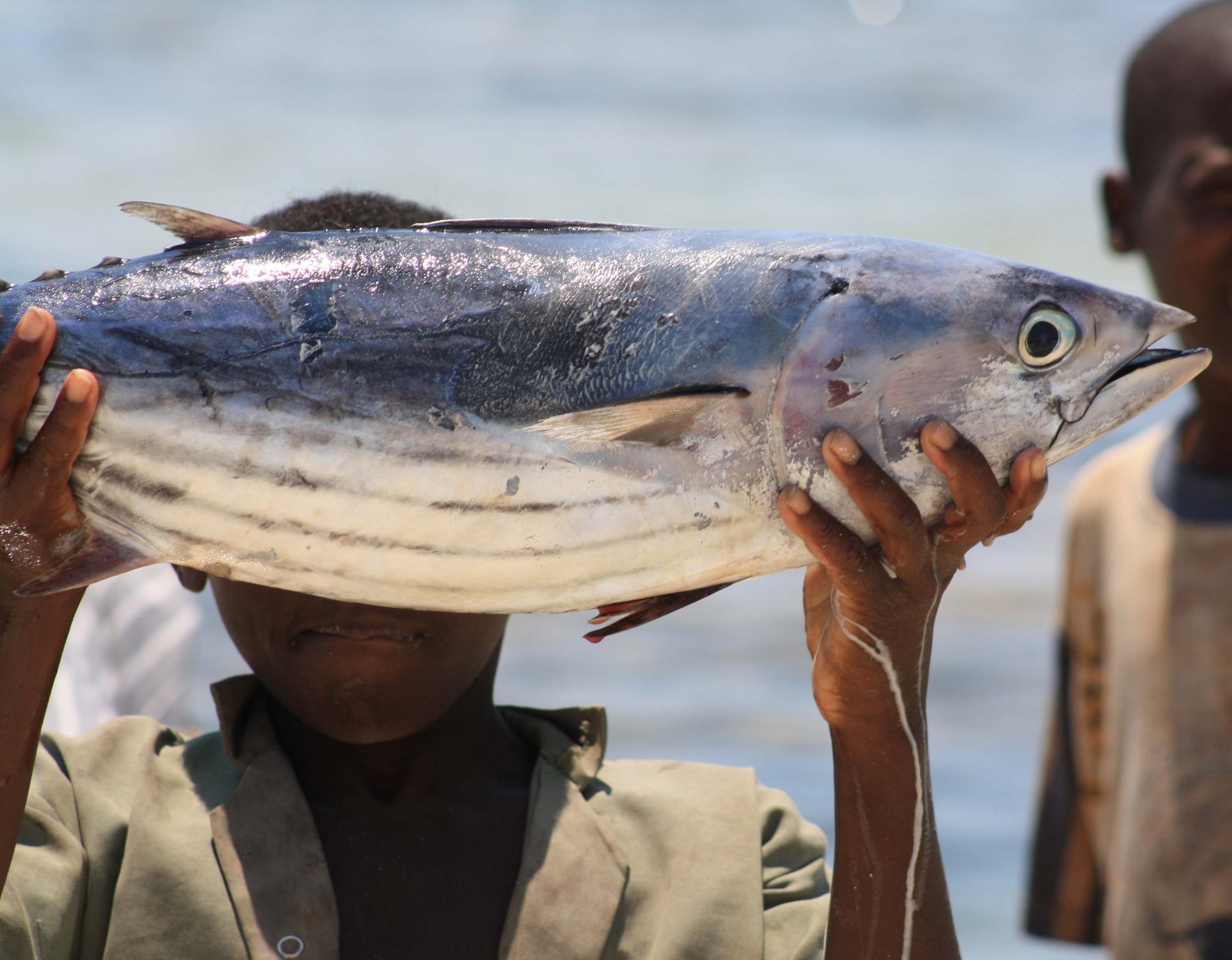 Blackfin Tuna Fishing Guide
