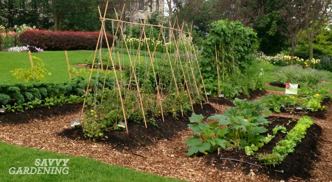 How to create a rock herb garden
