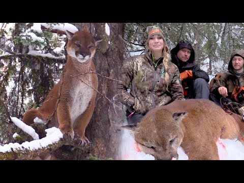 deer hunter plot