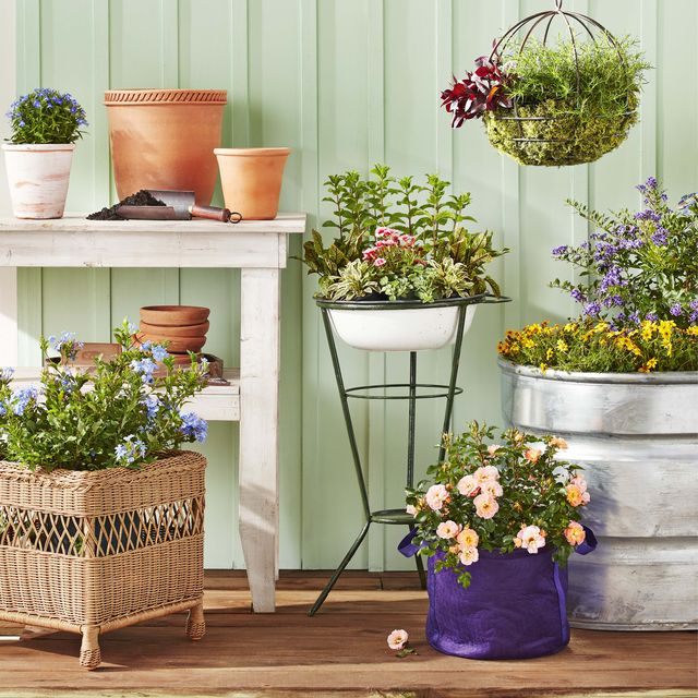 container gardening ideas uk