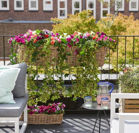 Patio Gardening and Balcony Vegetable Gardening
