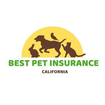 free pet rescue saga download