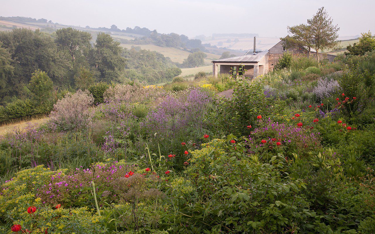 planting garden tips