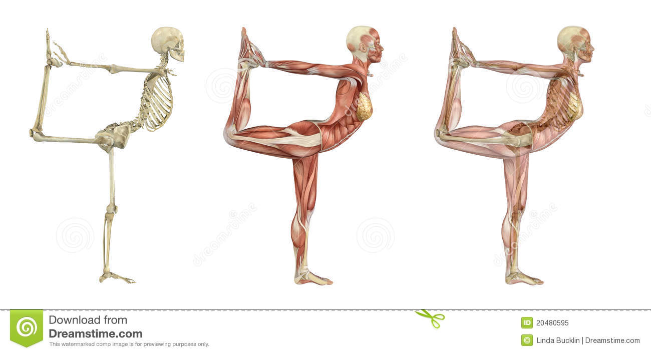 Desk Yoga - Stretch and Open Your Chest and Lungs While at Work
