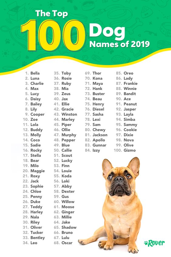 Which breeds are the most popular in the world?
