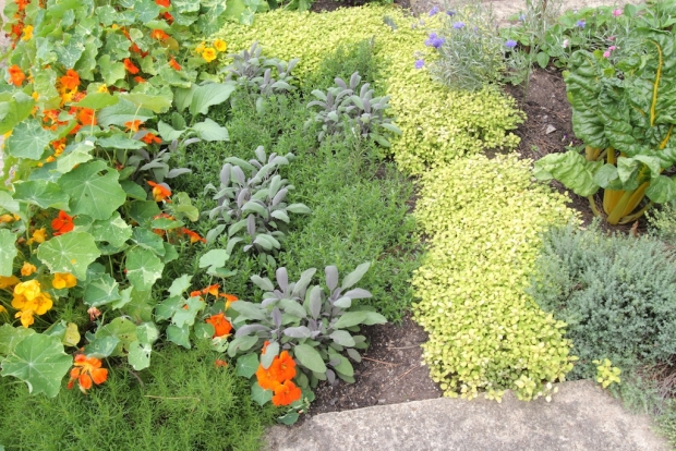 Creative Ideas for Vegetable and Herb Garden Layouts
