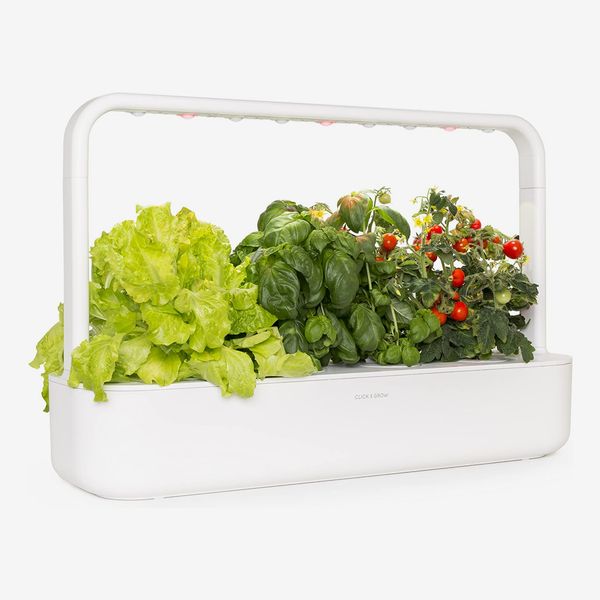 What is Hydroponic Gardening?
