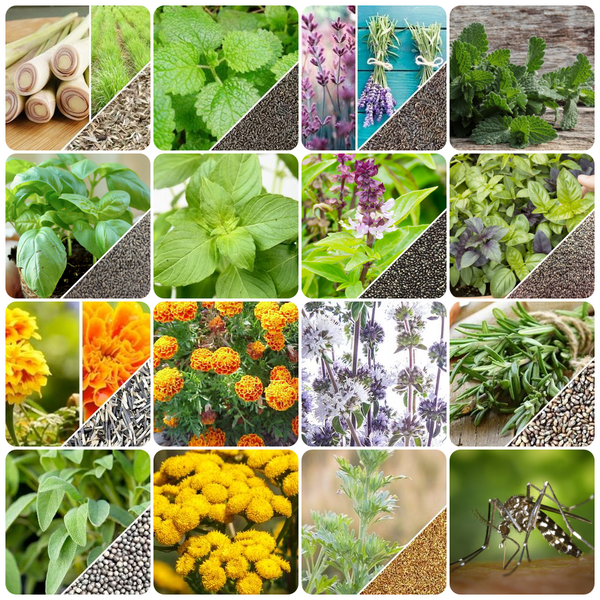 Pennsylvania Vegetable Gardening Guide
