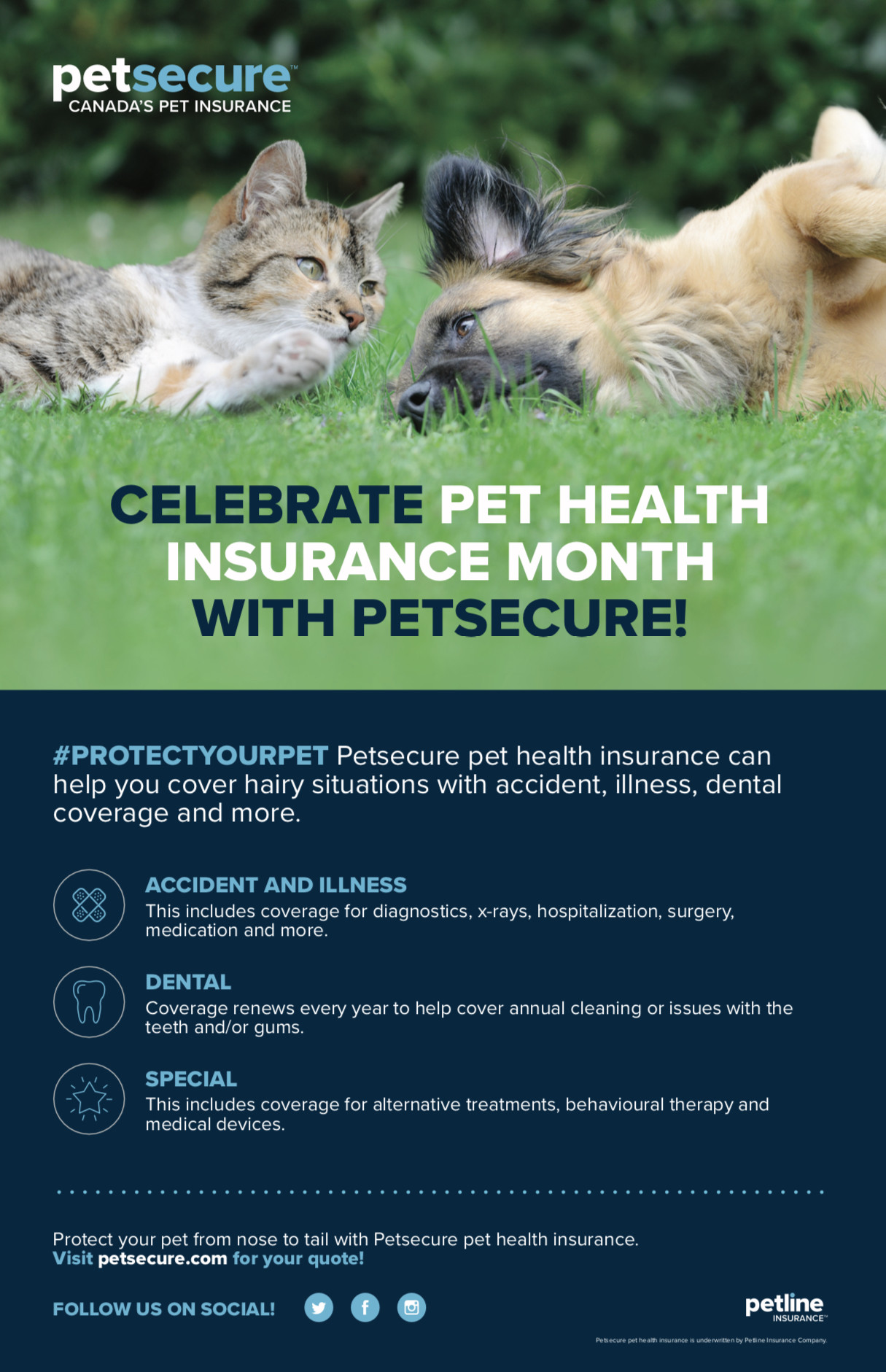 pets best insurance
