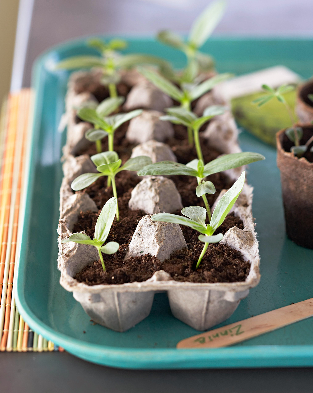 How to make an indoor garden box
